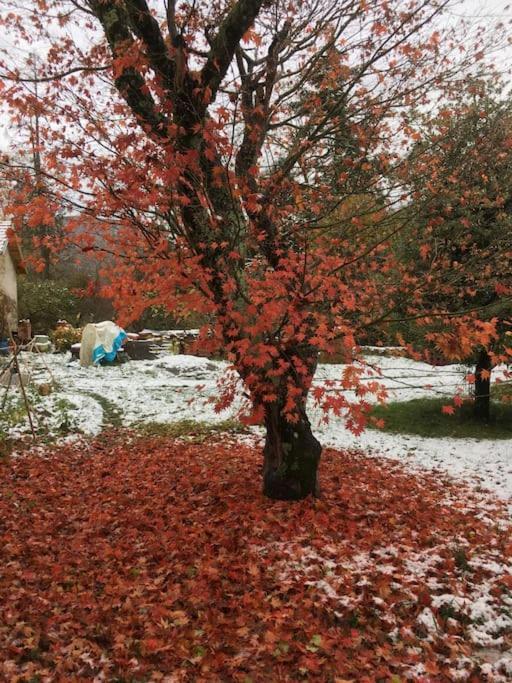 Lerable Pourpre De La Grotte Au Lion Villa Arbon Eksteriør billede