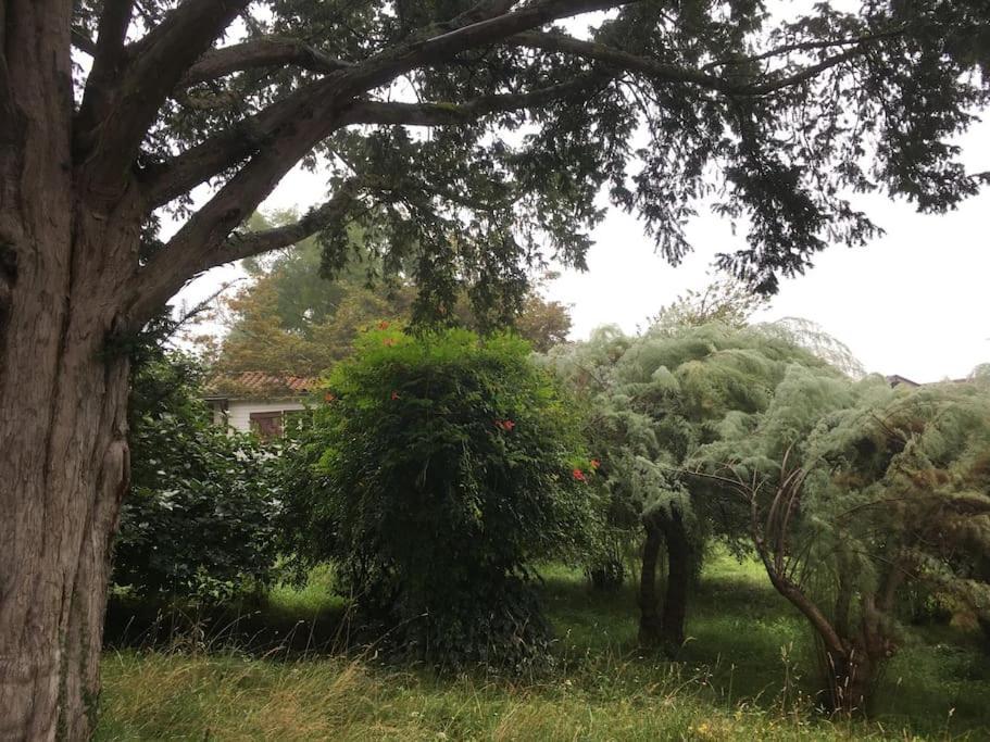 Lerable Pourpre De La Grotte Au Lion Villa Arbon Eksteriør billede